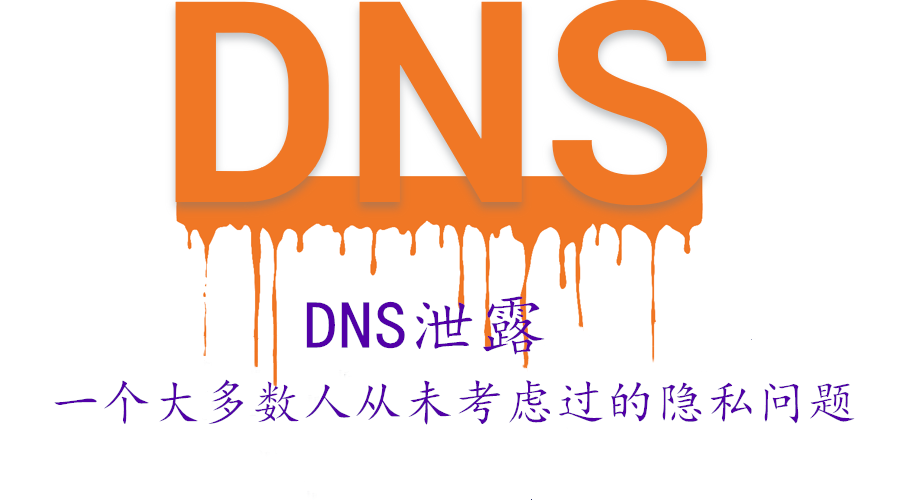 🔒 什么是 DNS 泄漏？原因、检测与防护