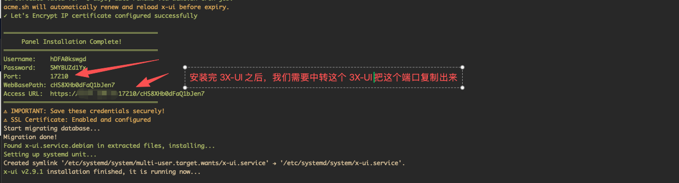 安装完成
